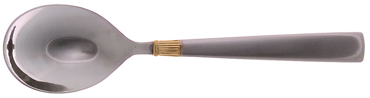 Golden Castlegate (Stainless, Gold Accent) Sugar Spoon by Reed & Barton-1
