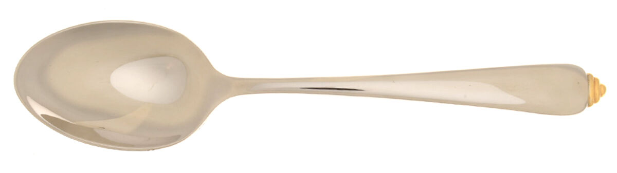 Golden Halo (Stainless) Tablespoon (Serving Spoon) by Reed & Barton-1