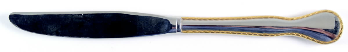 Golden Regatta (Stainless, Gold Accent) Modern Hollow Knife by Reed & Barton-1