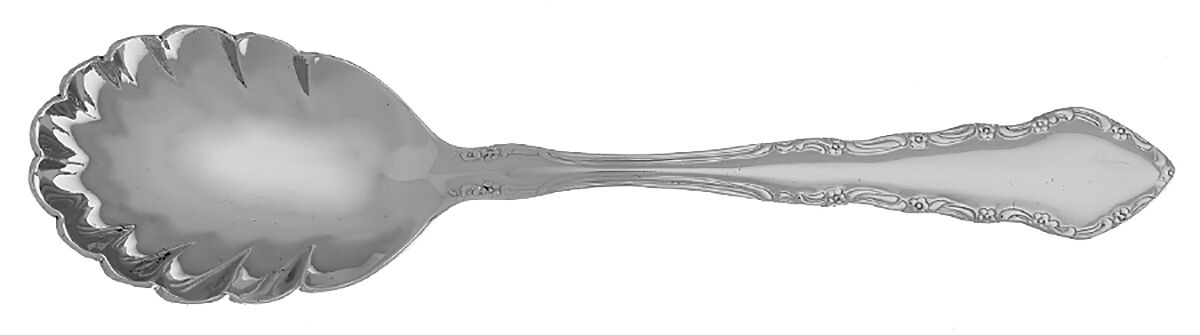 Harvest (Stainless) Sugar Shell Spoon by Reed & Barton-1