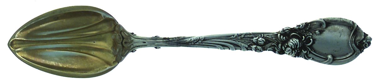 La Parisienne (Sterling, 1902) Fruit/Orange Spoon by Reed & Barton-1