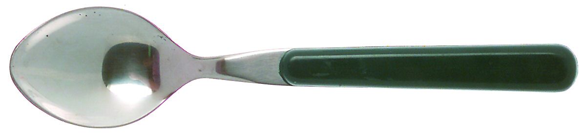 Nouvelle-Hunter Green Teaspoon by Reed & Barton-1