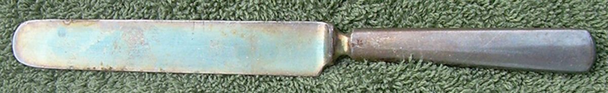 Palace (Silverplate) Blunt Solid Knife by Reed & Barton-1