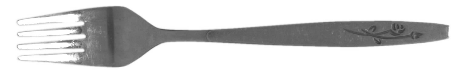 Roselyn (STAINLESS) Fork by Reed & Barton-1