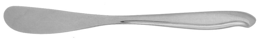 Sabrina (Stainless) Flat Handle Butter Spreader by Reed & Barton-1