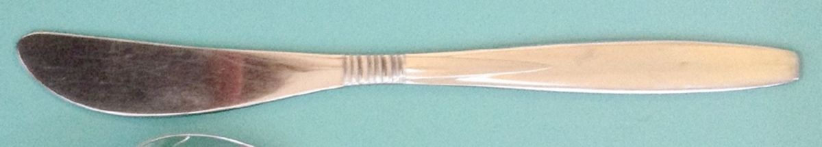 Safari (Stainless) Flat Handle Master Butter Knife by Reed & Barton-1