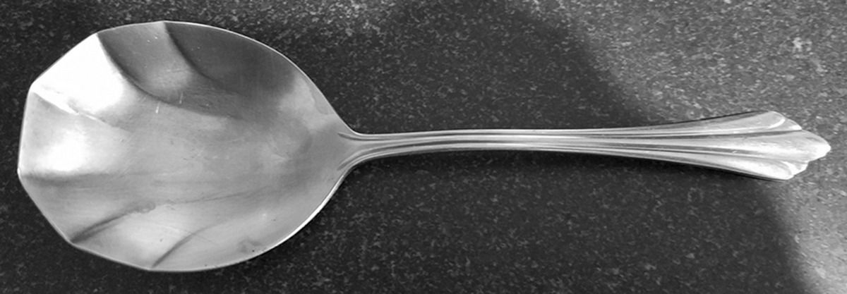 Sarajevo (Stainless) Solid Shell Casserole Spoon by Reed & Barton-1