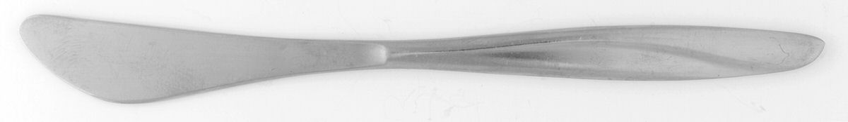 Seascape (Stainless, Glossy Finish) Flat Handle Butter Spreader by Reed & Barton-1