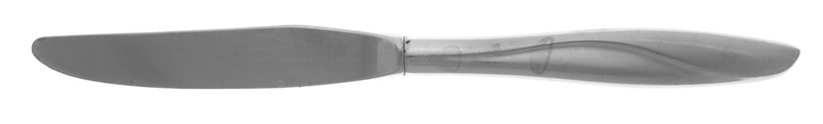 Seascape (Stainless, Glossy Finish) Modern Hollow Knife by Reed & Barton-1