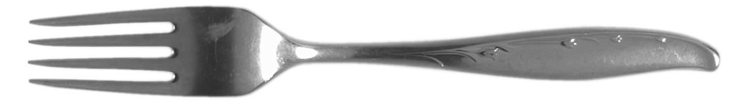 Summertime (Stainless) Fork by Reed & Barton-1