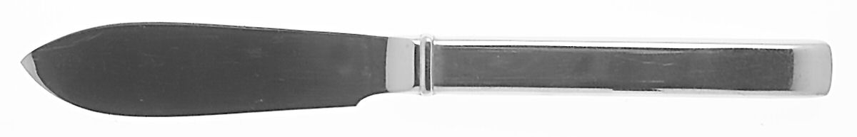 Tenor (Stainless) Hollow Handle Master Butter Knife by Reed & Barton-1