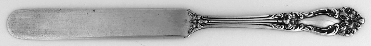 Tiger Lily (Silverplate, 1901) Solid Tea/Child Knife by Reed & Barton-1