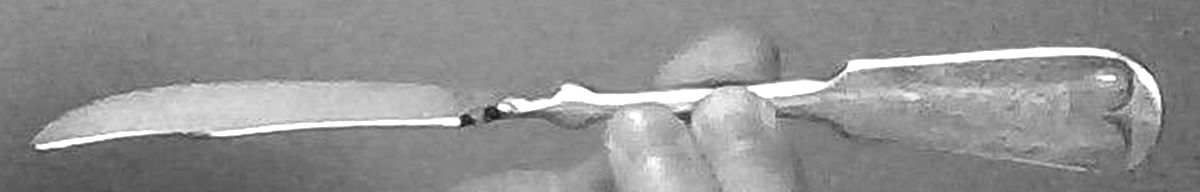 Tipped (Silverplate, 1880) Flat Twisted Handle Master Butter Knife by Reed & Barton-1