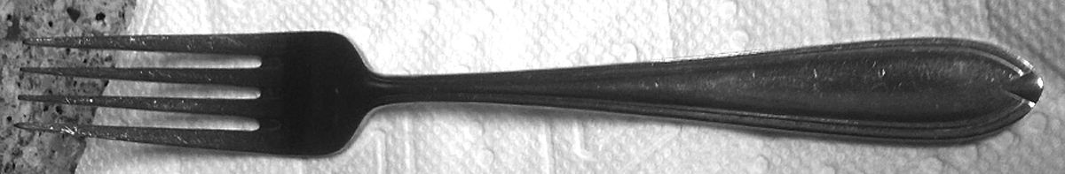 RGL7 (Stainless) Fork by Royal Gallery-1