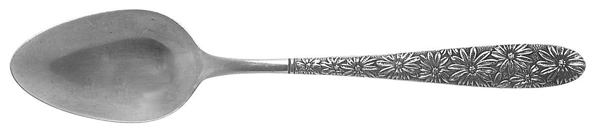 RIF18 (STAINLESS) Teaspoon by Riviera-1