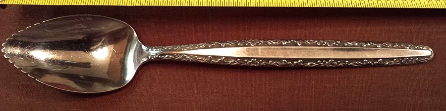 Livorno (Stainless) Fruit/Orange Spoon by Riviera-1