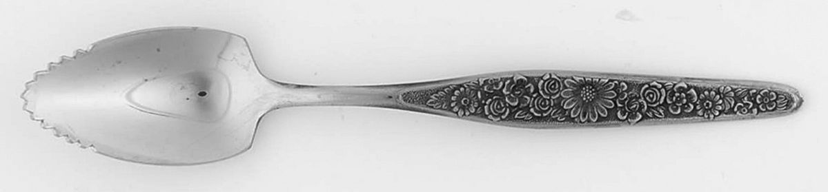 RIF6 (STAINLESS) Fruit/Orange Spoon by Riviera-1