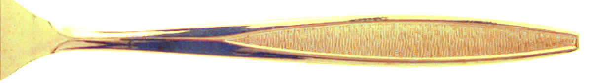 Antigua Gold (Gold Electroplate) Fork by Royalton-1