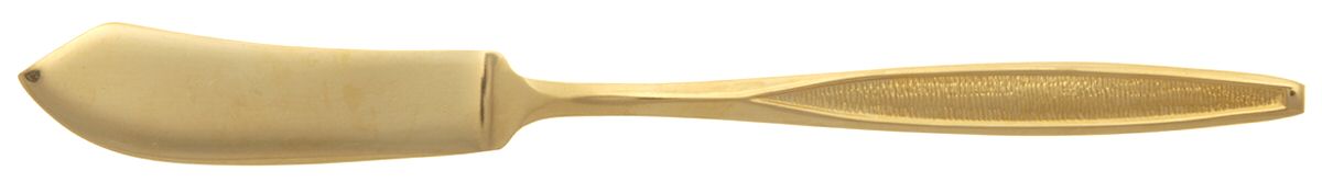 Antigua Gold (Gold Electroplate) Flat Handle Master Butter Knife by Royalton-1
