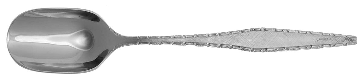 RNT1 (Stainless) Sugar Spoon by Regent Cutlery-1