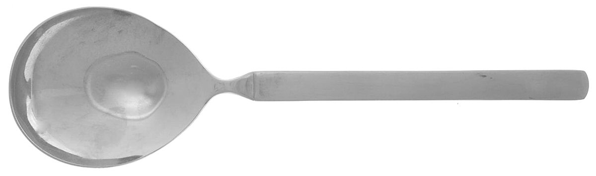 2001 (Stainless) Solid Serving Spoon by Retroneu-1