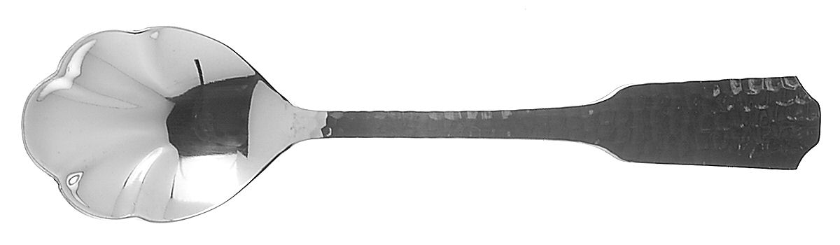 Aberdeen (Stainless) Sugar Shell Spoon by Retroneu-1