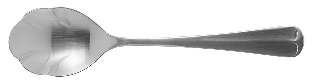 Bradford (Stainless) Sugar Shell Spoon by Retroneu-1