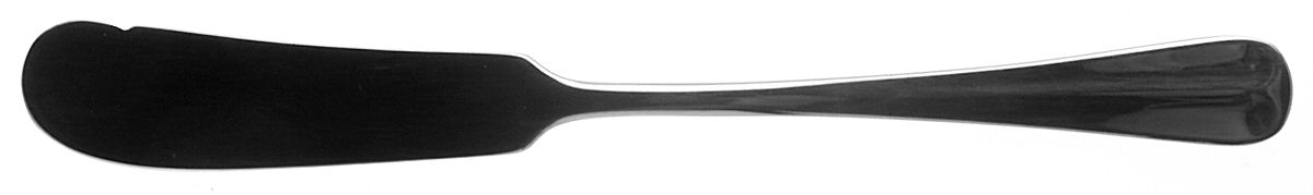 Bradford (Stainless) Flat Handle Butter Spreader by Retroneu-1