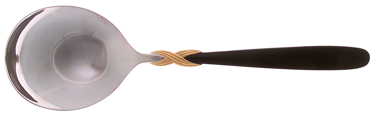 Braid-Onyx (Stainless, Onyxhdl, Gold Accent) Solid Serving Spoon by Retroneu-1