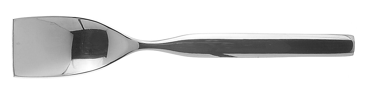 Convair (Stainless) Sugar Spoon by Retroneu-1