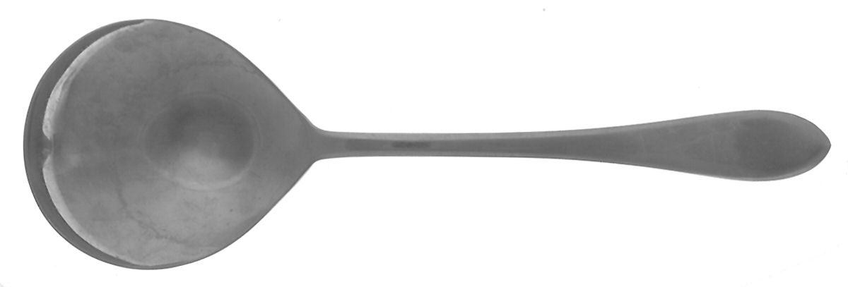 Roseanne (Stainless) Solid Serving Spoon by Retroneu-1