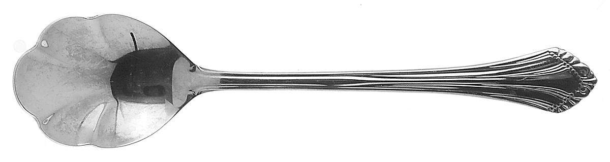Strand (Stainless) Sugar Shell Spoon by Retroneu-1