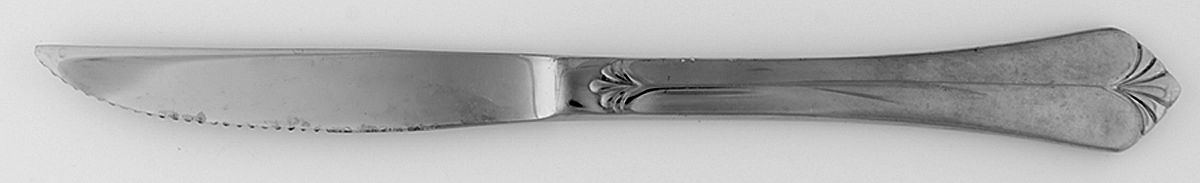 Whitney (Stainless) Individual Solid Handle Steak Knife by Retroneu-1