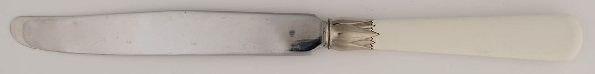 Monet-Ivory (Stainless) New French Solid Knife by Reed & Barton-1