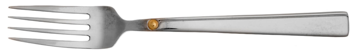 Dorato (Stainless) Fork by Reed & Barton-1