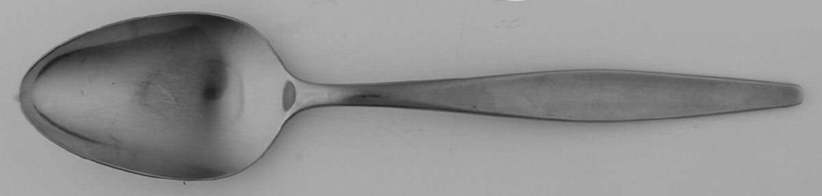 RDS69 (Stainless) Tablespoon (Serving Spoon) by Reed & Barton-1