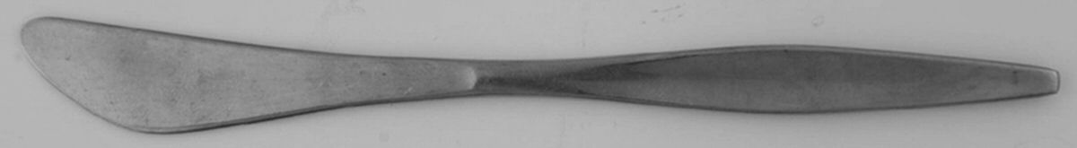 RDS69 (Stainless) Flat Handle Butter Spreader by Reed & Barton-1