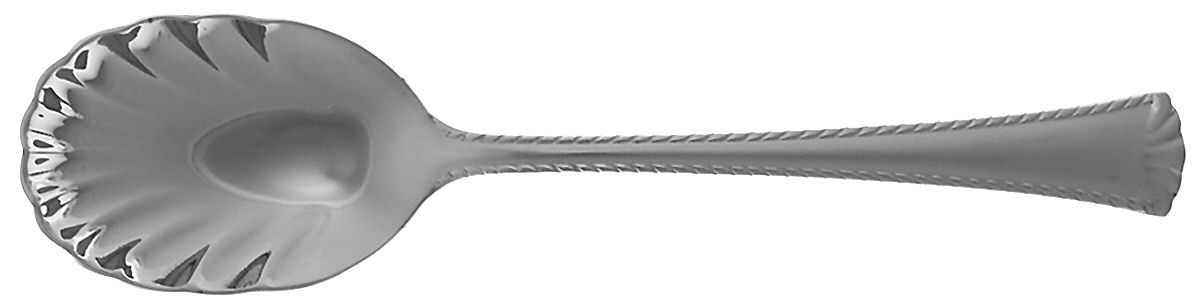 Hampshire-Matte (Stainless) Sugar Shell Spoon by Reed & Barton-1