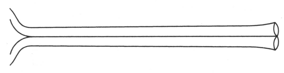 Viva (Sterling) Fork by Robbe & Berking-1