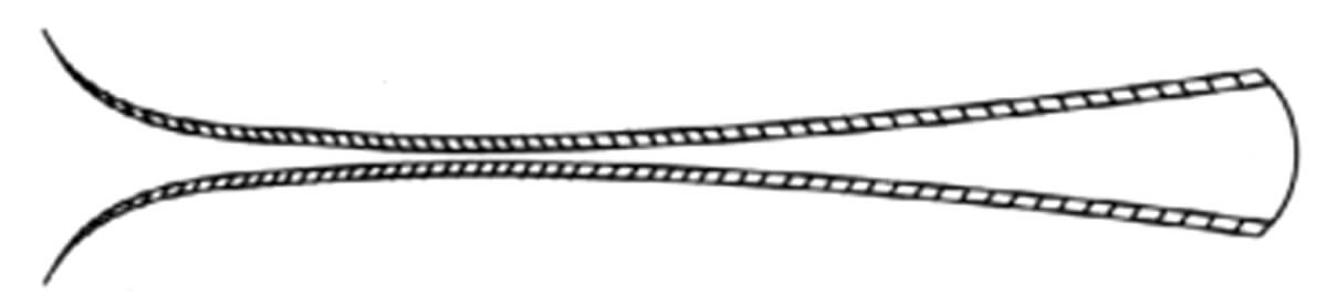 Konigskordel (Sterling) Fork by Robbe & Berking-1