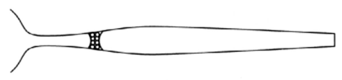 Royal (Silverplate) Fork by Robbe & Berking-1