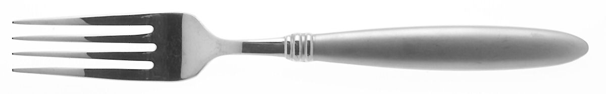 Solitude Matte (Stainless) Fork by Reed & Barton-1
