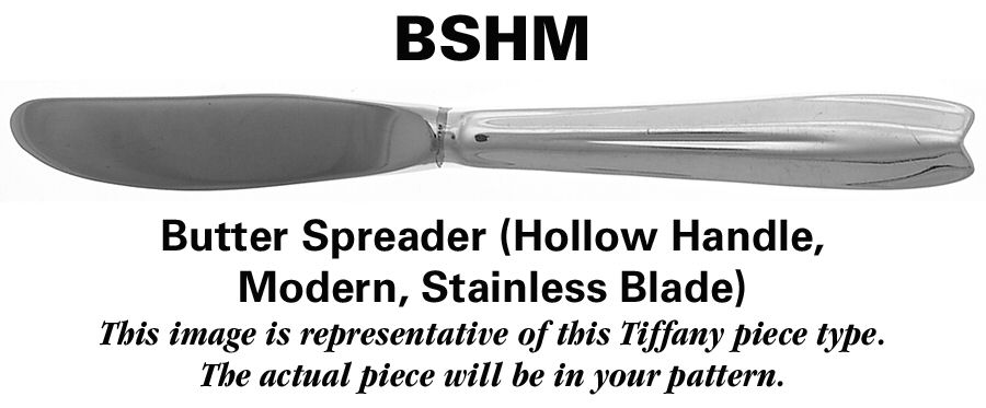 Clinton Engraved (Sterling, No Monograms) Modern Hollow Butter Spreader (Stainless) by Tiffany & CO SILVER-1