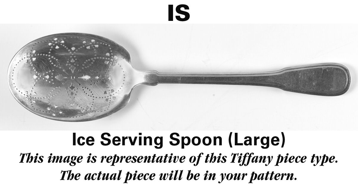 Audubon (Sterling, 1956) Ice Serving Spoon Large by Tiffany & CO SILVER-1
