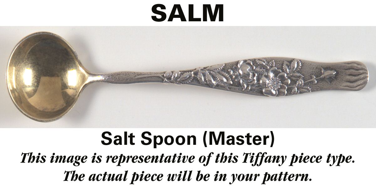 Audubon (Sterling, 1956) Master Salt Spoon by Tiffany & CO SILVER-1