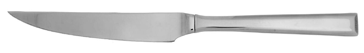Addison (Stainless) Steak Knife Individual Solid No Serrate HC by Reed & Barton-1