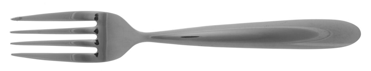 Freeport (Stainless) Individual Salad Fork by Reed & Barton-1