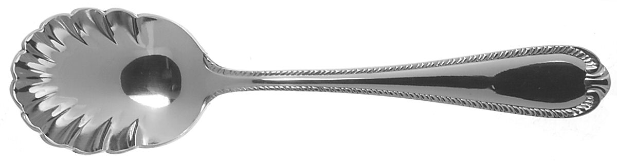 Domain (Stainless) Sugar Shell Spoon by Reed & Barton-1