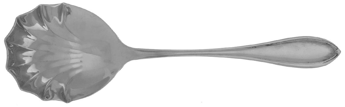 RTR24 (Stainless) Solid Serving Spoon by Retroneu-1