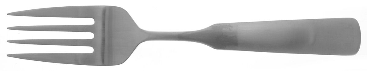 Cabot Satin (Stainless) Medium Solid Cold Meat Serving Fork by Reed & Barton-1